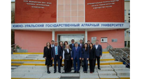 Сталинград, Курск ва тоҷикон дар авҷи ҷанг